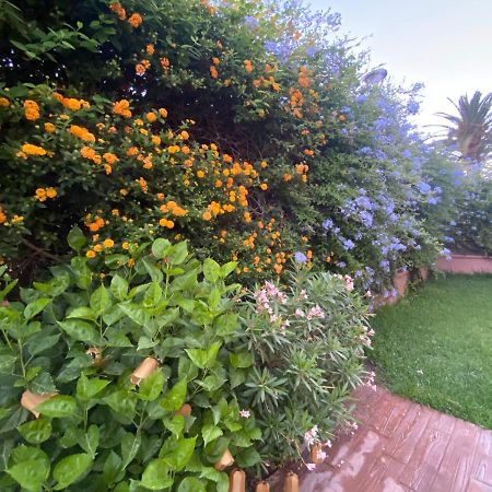 Apartamento Jardin Sanlucar Sanlucar de Barrameda Exterior photo